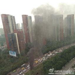 重庆九龙坡最新爆料,揭秘区域发展新动态